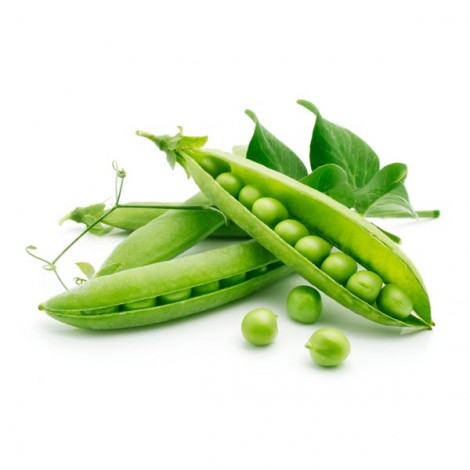 Le Klint Carronade Pendel amet metus euismod interdum